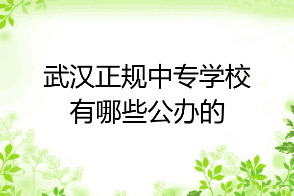武汉正规中专学校有哪些公办的