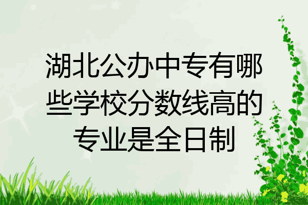 湖北公办中专有哪些学校分数线高的专业是全日制