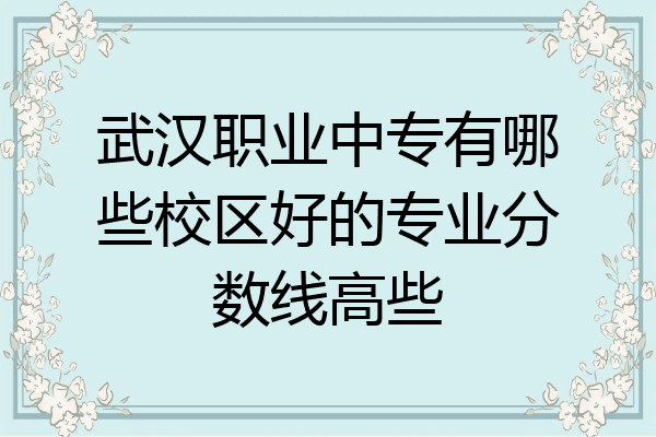 武汉职业中专有哪些校区好的专业分数线高些