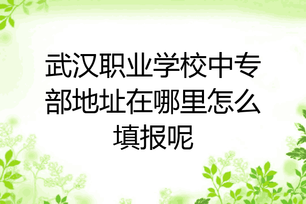 武汉职业学校中专部地址在哪里怎么填报呢