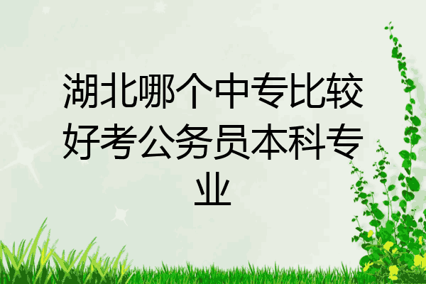 湖北哪个中专比较好考公务员本科专业