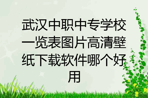 武汉中职中专学校一览表图片高清壁纸下载软件哪个好用