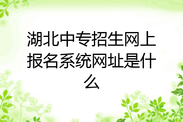 湖北中专招生网上报名系统网址是什么
