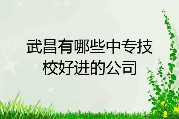 武昌有哪些中专技校好进的公司