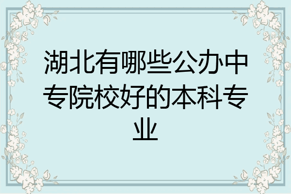 湖北有哪些公办中专院校好的本科专业