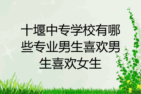 十堰中专学校有哪些专业男生喜欢男生喜欢女生