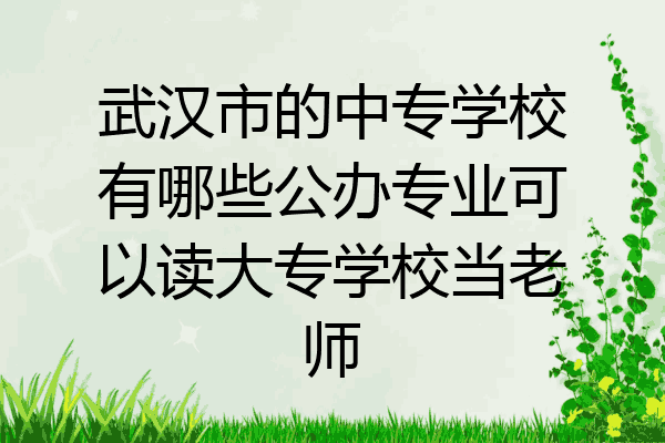 武汉市的中专学校有哪些公办专业可以读大专学校当老师