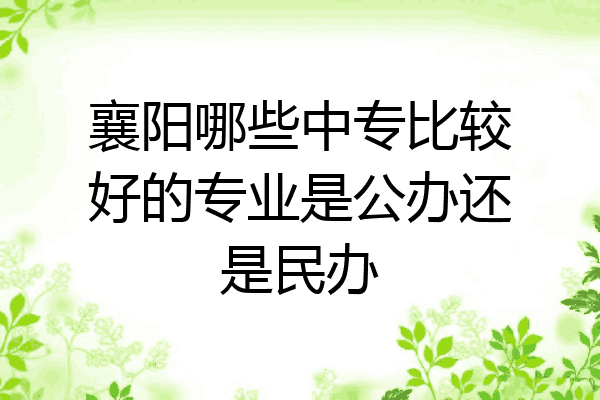 襄阳哪些中专比较好的专业是公办还是民办