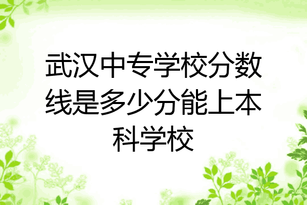 武汉中专学校分数线是多少分能上本科学校