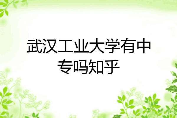 武汉工业大学有中专吗知乎