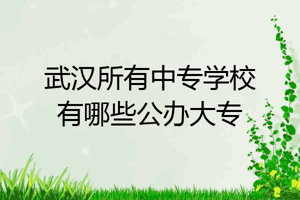 武汉所有中专学校有哪些公办大专