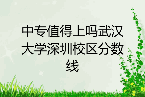 中专值得上吗武汉大学深圳校区分数线