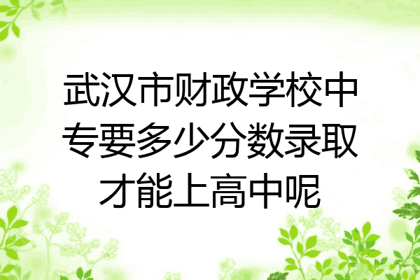 武汉市财政学校中专要多少分数录取才能上高中呢