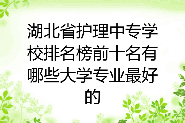 湖北省护理中专学校排名榜前十名有哪些大学专业最好的