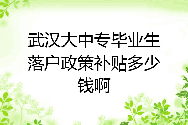 武汉大中专毕业生落户政策补贴多少钱啊