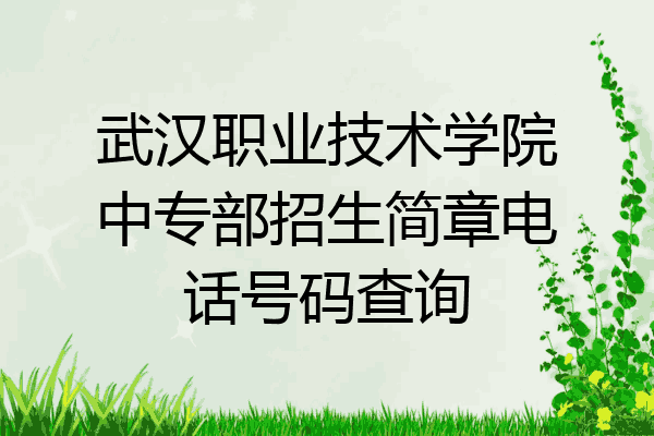 武汉职业技术学院中专部招生简章电话号码查询