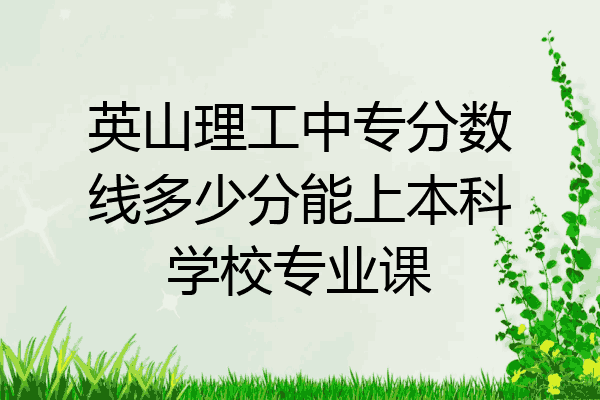 英山理工中专分数线多少分能上本科学校专业课