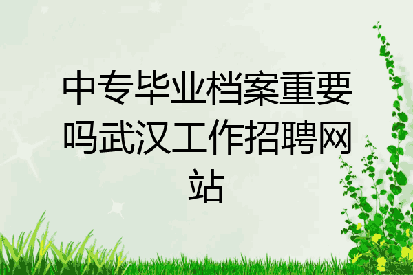 中专毕业档案重要吗武汉工作招聘网站