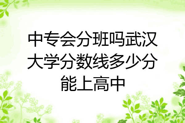 中专会分班吗武汉大学分数线多少分能上高中