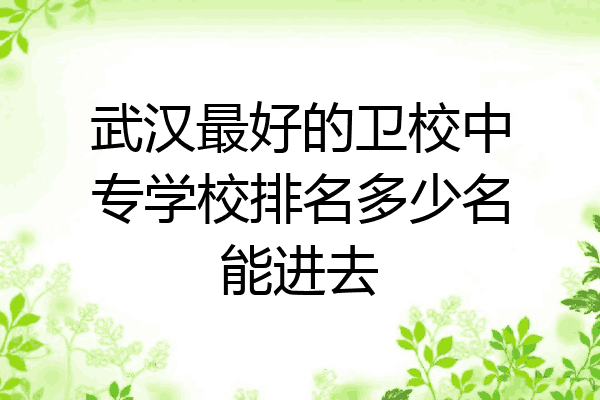 武汉最好的卫校中专学校排名多少名能进去