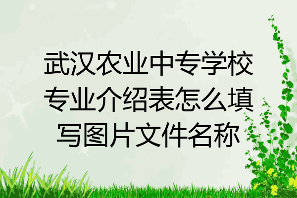 武汉农业中专学校专业介绍表怎么填写图片文件名称