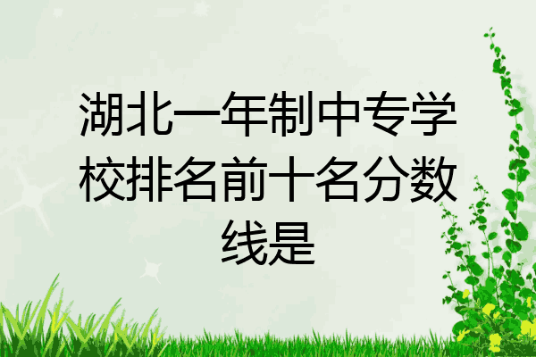 湖北一年制中专学校排名前十名分数线是