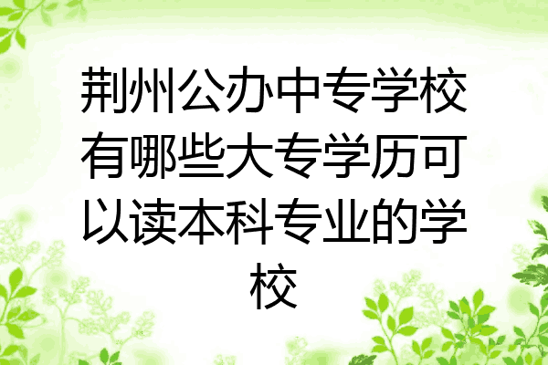荆州公办中专学校有哪些大专学历可以读本科专业的学校