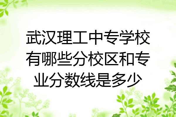 武汉理工中专学校有哪些分校区和专业分数线是多少