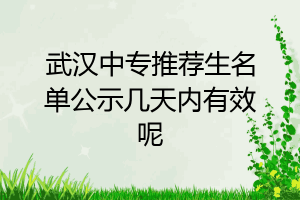 武汉中专推荐生名单公示几天内有效呢