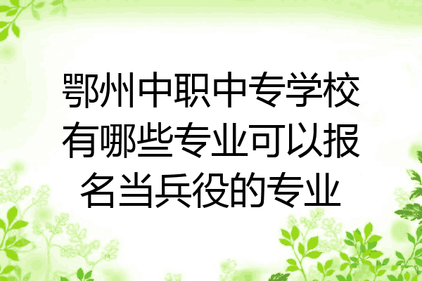 鄂州中职中专学校有哪些专业可以报名当兵役的专业