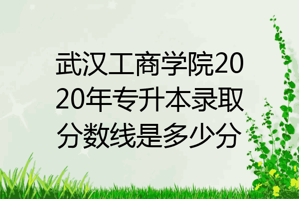 武汉工商学院2020年专升本录取分数线是多少分