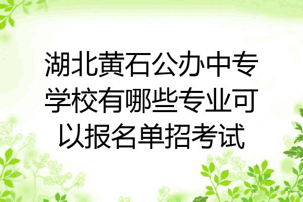 湖北黄石公办中专学校有哪些专业可以报名单招考试