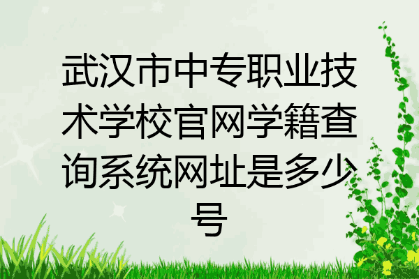 武汉市中专职业技术学校官网学籍查询系统网址是多少号