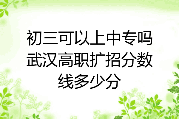初三可以上中专吗武汉高职扩招分数线多少分