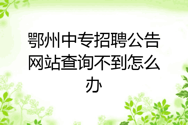 鄂州中专招聘公告网站查询不到怎么办