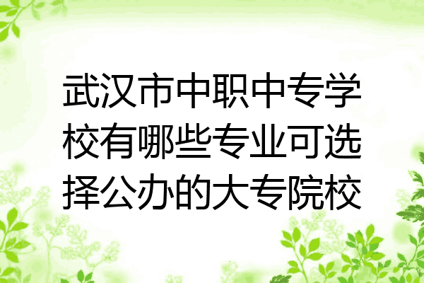 武汉市中职中专学校有哪些专业可选择公办的大专院校