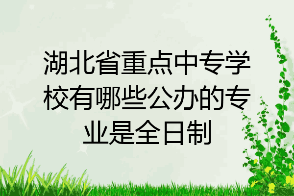 湖北省重点中专学校有哪些公办的专业是全日制