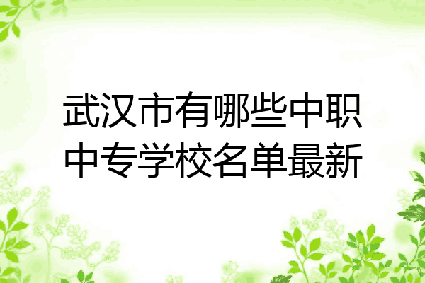 武汉市有哪些中职中专学校名单最新