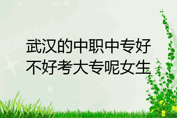 武汉的中职中专好不好考大专呢女生