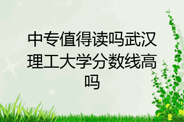 中专值得读吗武汉理工大学分数线高吗