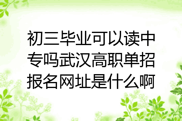 初三毕业可以读中专吗武汉高职单招报名网址是什么啊