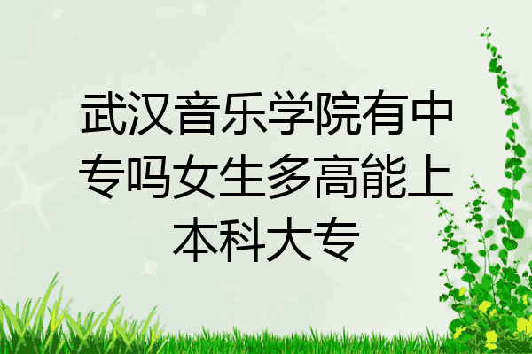 武汉音乐学院有中专吗女生多高能上本科大专