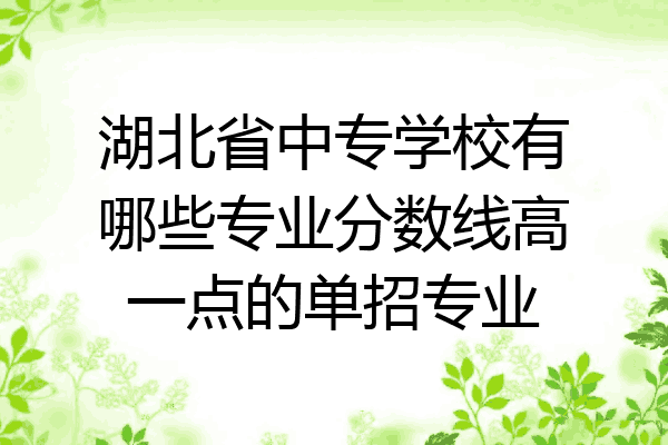 湖北省中专学校有哪些专业分数线高一点的单招专业