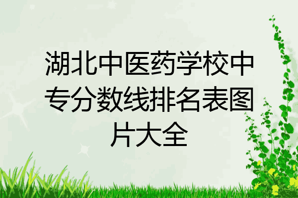 湖北中医药学校中专分数线排名表图片大全