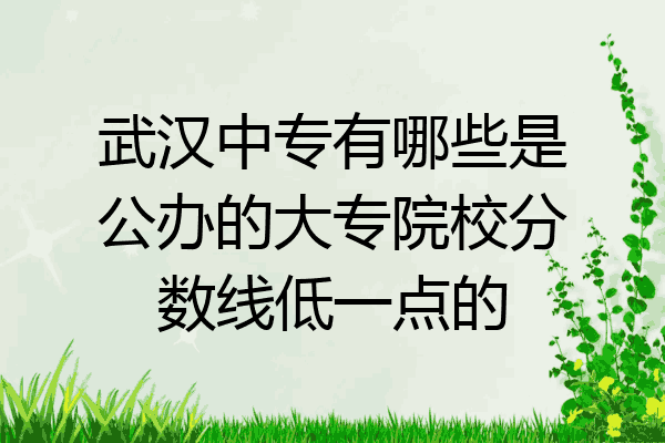 武汉中专有哪些是公办的大专院校分数线低一点的