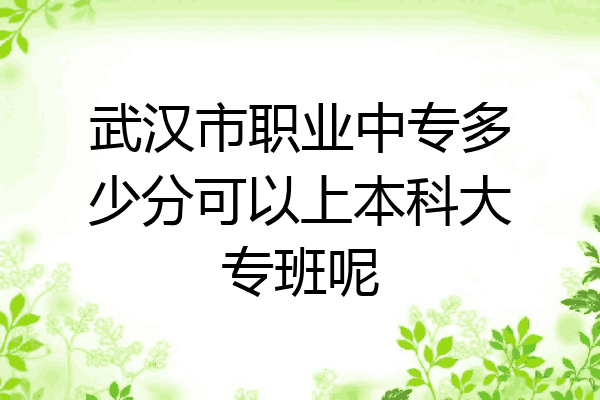 武汉市职业中专多少分可以上本科大专班呢