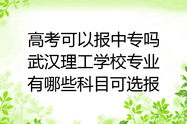 高考可以报中专吗武汉理工学校专业有哪些科目可选报