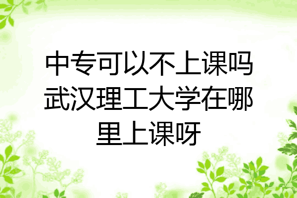 中专可以不上课吗武汉理工大学在哪里上课呀