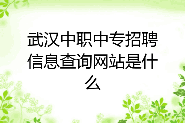 武汉中职中专招聘信息查询网站是什么