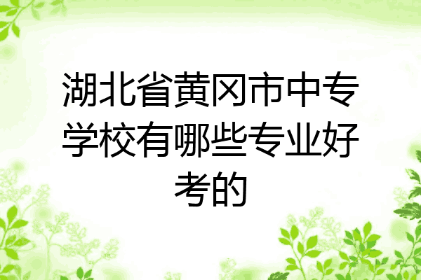 湖北省黄冈市中专学校有哪些专业好考的